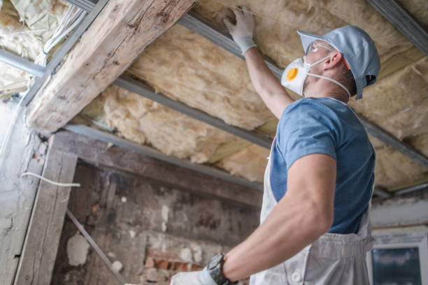 Best Commercial Insulation in Berryville, VA