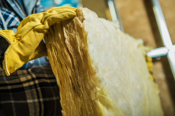Best Insulation Maintenance and Repair in Berryville, VA