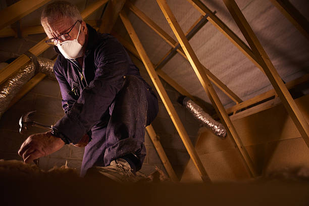 Best Cellulose Insulation in Berryville, VA