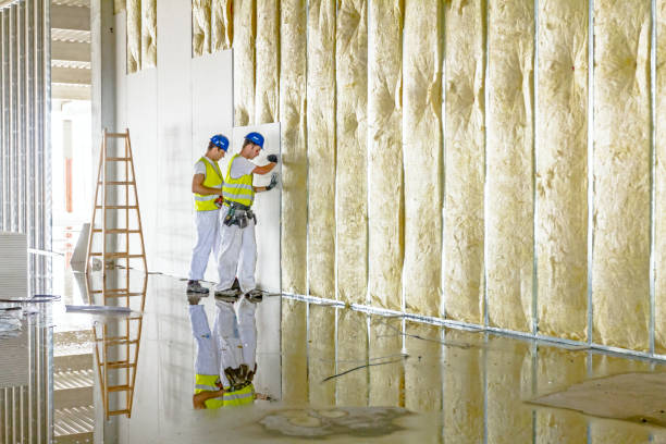 Best Spray Foam Insulation in Berryville, VA